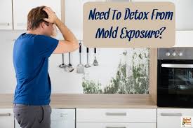 These are available at hardware stores and. How To Detox Your Body From Mold What I Did Hybrid Rasta Mama