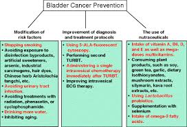 Men are about three to four times more likely than women to develop bladder cancer, and older people are more likely to be affected. Nutraceuticals In Human Urinary Bladder Cancer Prevention And Treatment Springerlink