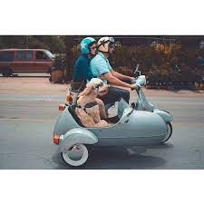 Pin On Cycles Sidecars