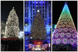 Take a trip into an upgraded, more organized inbox. Which City Has The Best Christmas Tree See How Liverpool Compares Liverpool Echo
