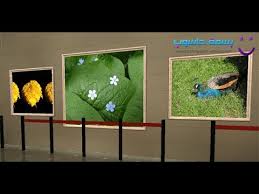 شرح برنامج Photo 3d Album و كيفية عمل معرض للصور ثلاثي الأبعاد Youtube