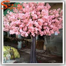 Cherry Blossom Plant Kopen Best Flower Wallpaper