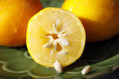 Are lemons high in pectin?