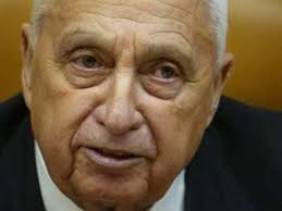 Israel former PM Ariel Sharon's 'vital organs' failing: hospital