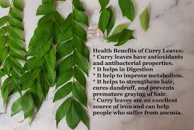Curry leaf (plural curry leaves). Air Fryer Roasted Dried Curry Leaves How To Dry And Store Curry Leaves Using Air Fryer Aaichi Savali