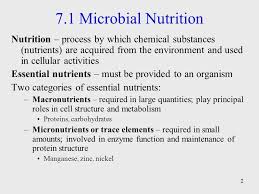 Vitamins and minerals are the two types of micronutrients. Foundations In Microbiology Seventh Edition Ppt Video Online Download