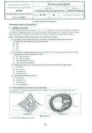 Bac 2021 math علوم تجريبية. Ø§Ù…ØªØ­Ø§Ù† Ø§Ù„Ø±ÙŠØ§Ø¶ÙŠØ§Øª Ù„Ù„Ø¨ÙƒØ§Ù„ÙˆØ±ÙŠØ§ Ø¹Ù„ÙˆÙ… ØªØ¬Ø±ÙŠØ¨ÙŠØ© Ø§Ù„Ù…ØµØ¯Ø± ØªÙˆÙ†Ø³