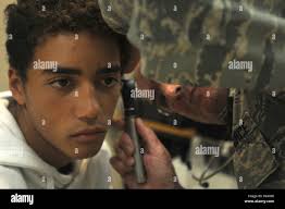 185th dental company hi-res stock photography and images