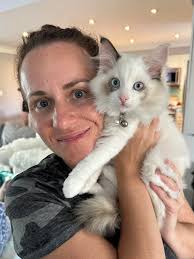 Does a Ragdoll cat's fur stay soft as they grow up?