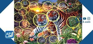 حل لغز كم نمر بالصوره موقع المرجع