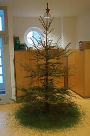 Nach den weihnachtsfeiertagen sammeln im januar sportvereine und pfadfinder die ausgedienten weihnachtsbäume ein. Entsorgung Weihnachtsbaume Abfallwirtschaft Ilmkreis