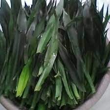 Pewarna makanan alami lebih baik daripada pewarna buatan. Daun Suji Daun Pewarna Makanan Daun Hijau Shopee Indonesia