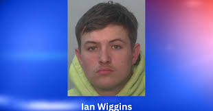 Man pleads guilty to injuring child with lit firework