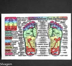 Coded Foot Reflexology Laminated Wallet Card Chart Guide Mint Col113