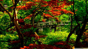 Download over 616 japanese mother royalty free stock footage clips, motion backgrounds, and after effects templates with a subscription. Japanese Garden Kyoto 4k Hd Desktop Wallpaper For Japanese Garden Background 1284x721 Wallpaper Teahub Io