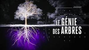 13 juin 2019 09:2613 juin 2019 09:39 céline s. A Voir Jusqu Au 13 Juin En Replay Sur France 5 Innover En Svt