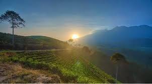 We did not find results for: Sumberagung Plaosan Sunset Gunung Lawu Pemandangan Alam