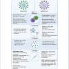 Proteolytic activity has been attributed to a class of enzymes called proteases. 1