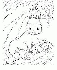 After they're done coloring, the results can be. Baby Bunny Coloring Page Coloring Home