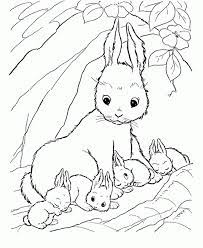 A bunny rabbit coloring page! Baby Bunny Coloring Page Coloring Home