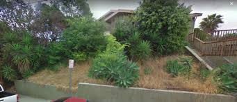 Hillside Home Northeast Los Angeles