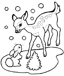 Meerschweinchen ausmalbilder kostenlos zum ausdrucken. Ausmalbilder Hasen Meerschweinchen