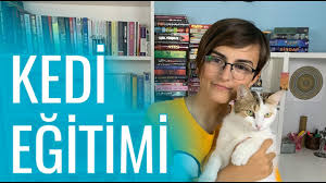 Kedi Egitimi Yeni Kedim Isiriyor Esyalari Tirmaliyor Ne Yapmali Youtube