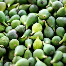 Denn mandarinen, melonen oder feigen haben in ihren anbauländern genauso saisonale erntezeiten wie rhabarber oder grüne bohnen bei uns. Sind Feigen Vegan The Vegetarian Diaries