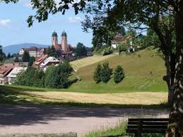 Pfisterwaldrundweg