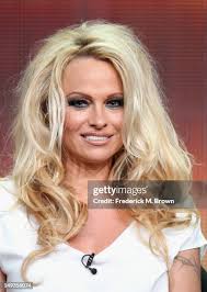 6.402 fotos e imagens de alta resolução de Frederick Anderson