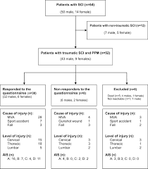 Neurosurgical Untethering With Or Without Syrinx Drainage