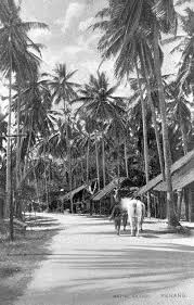 Native Village In Penang Penang Old Photos Old Pictures