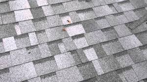 Through the use of multiple granule colors and shadowing, trudefinition duration shingles offer a truly unique and dramatic effect. Brazosport Roofing Youtube