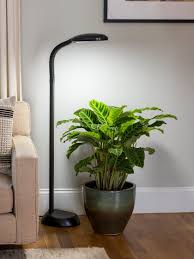 Floor Plant Lamp Full Spectrum Led Grow Light Free Shipping In 2020 Floor Plants Led Grow Lights Grow Lights