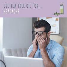Tea Tree Oil Uses 70 Ways To Benefit From Tea Tree Oil Tea Tree Oil Uses Tea Tree Oil Tea Tree Oil Benefits