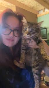 trading this house 🩷 it cost iguess 20k or more looking for +15 value in  elevbredd 🎀🎀 i can show u in game so u can see it better💘