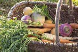 Epingle Sur Comfort Food For Winter Blues