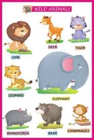 Lines for cars to pass through tolls can get incredibly long, making f. Animal Names Chart Learning For Kids Wild Animals Chart Paper Print H Krishna Posters Educational Posters In India Buy Art Film Design Movie Music Nature And Educational Paintings Wallpapers