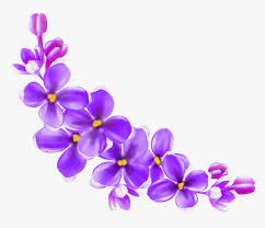Purple flower lavender bloom nature flowers plant blossom garden violet. Hand Painted Delicate Purple Flower Png Transparent Background Purple Flower Png Png Download Kindpng