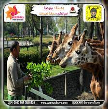 السياحة في بورصة panosundaki pin