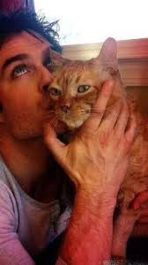 Jane Maconeghy (janemaconeghy)