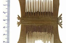 دور القمليات ككائن طفيلي في إستكشاف التاريخ البشري وتطوره على مدى العصور تايمز أوف إسرائيل