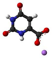The elemental lithium itself is toxic, more toxic than orotic acid. Lithium Orotate Wikiwand