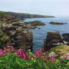 There are many books which might be useful here, but some include: Cove Bay Harbour Aberdeen Scotland Travel Scotland Scenery