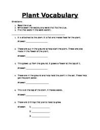 Plant Vocabulary Plants Vocabulary Vocabulary Plants Unit