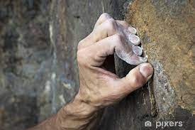 Wall Mural Mano Di Free Climber Primo Piano Pixers Hk