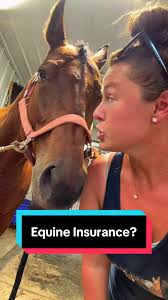 Equine Insurance: Protect Your Animals Today!