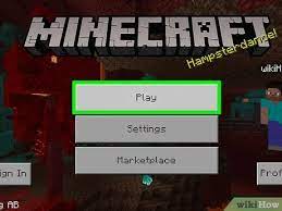 Check that your network connection is enabled, and that no programs are. 6 Ways To Play Minecraft Multiplayer Wikihow
