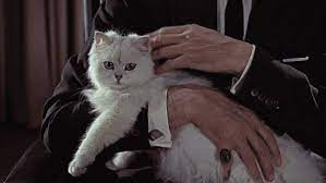 Explore and share the best blofeld gifs and most popular animated gifs here on giphy. Funky Mbti In Fiction James Bond Villains Quickpost