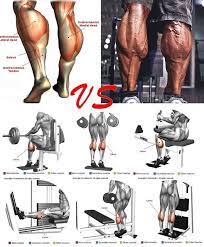 Build Strong And Big Calves With This Workout And The Most Powerful Bulking Stack Weight Training Workouts Calf Exercises Shoulder Workout